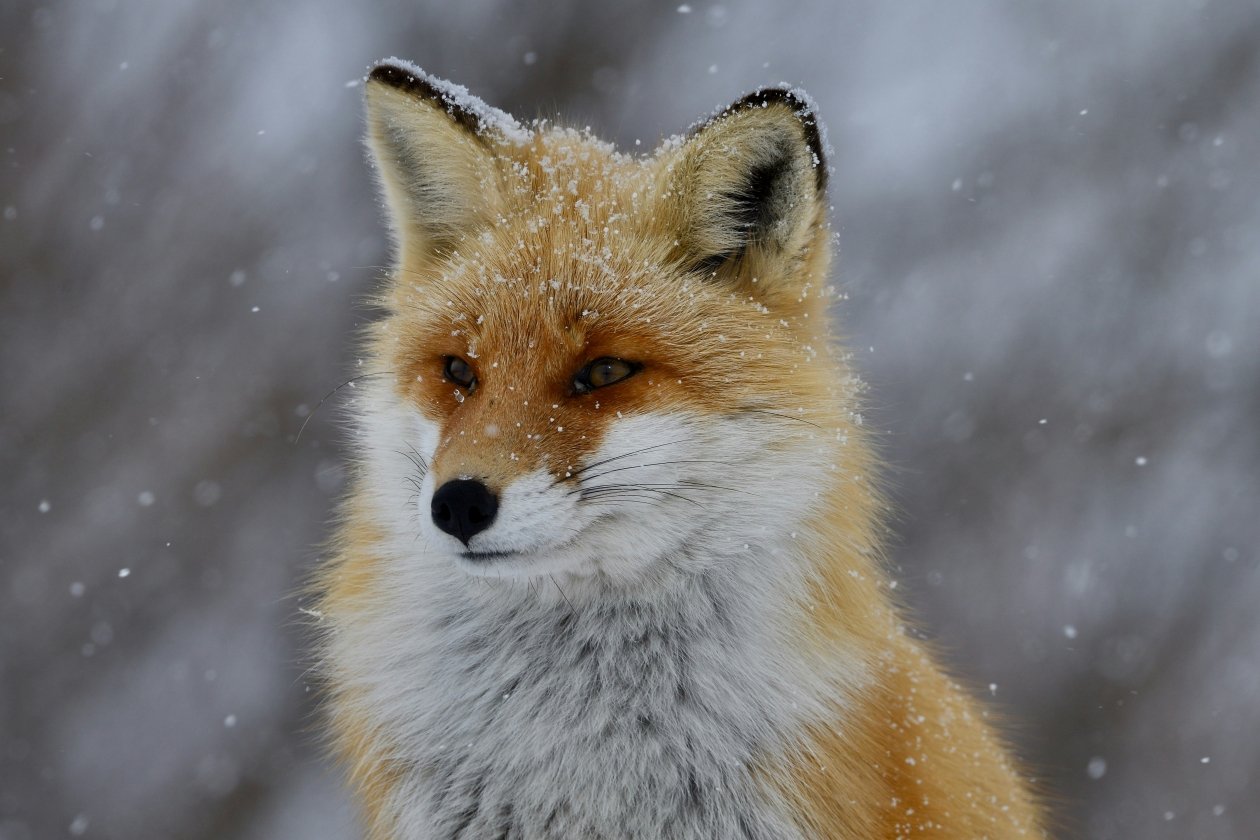 Тематическое фото unsplash.com