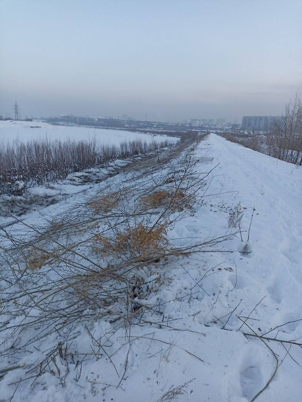 Срезка кустарников телеграм-канал (18+) Минприроды Забайкалья