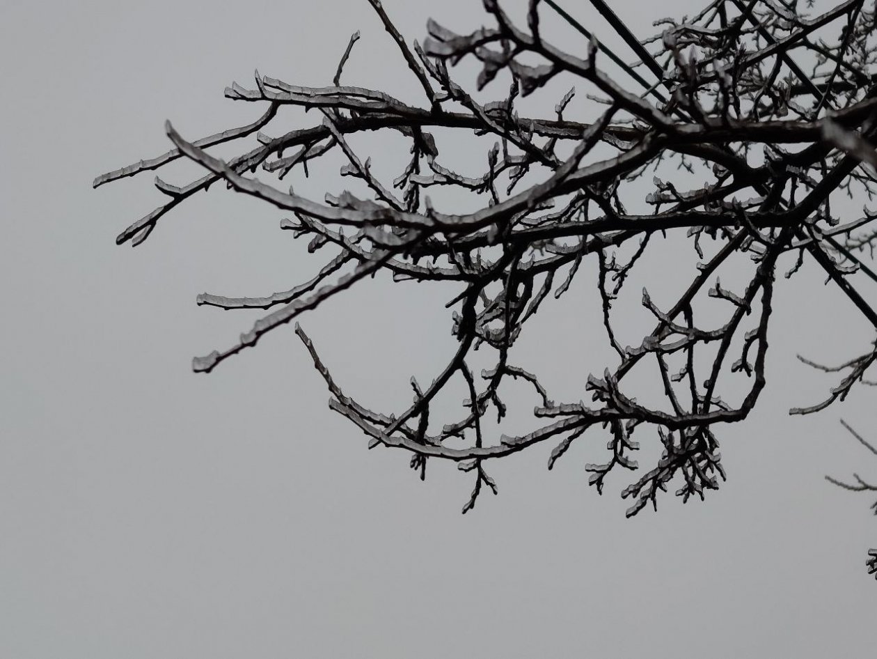 До -11° и небольшой снег: какой погоды ждать от последних выходных года на Ставрополье ИА Stavropol.Media