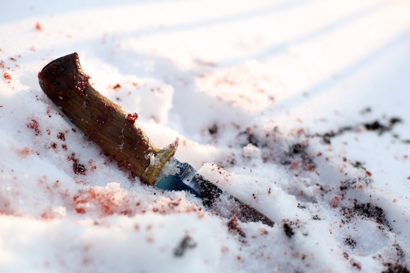 Тематическое фото ИА OmskMedia