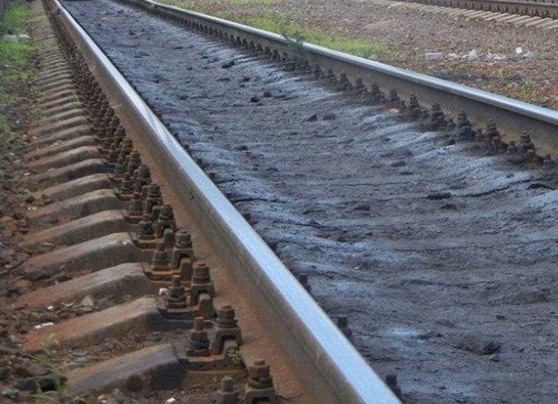 Нацпарк Сочи заявил о непричастности к проекту железной дороги в ущелье Ахцу Александр Хитров