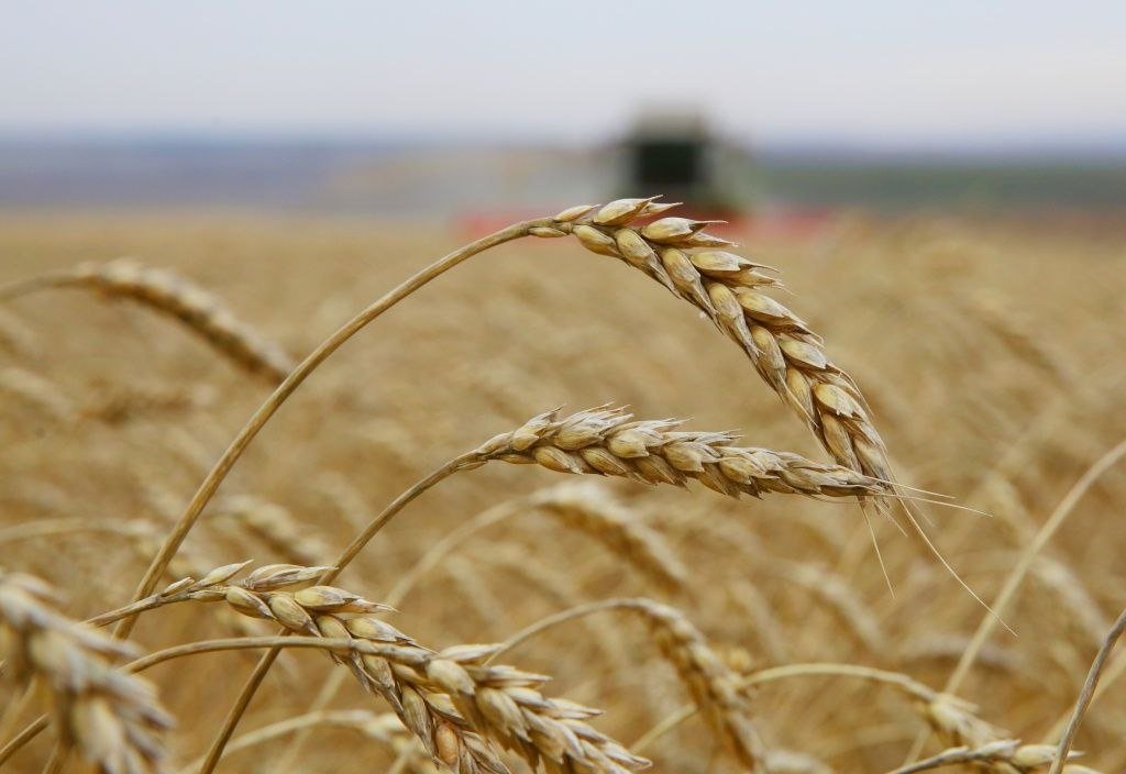 Зерно правительство Иркутской области