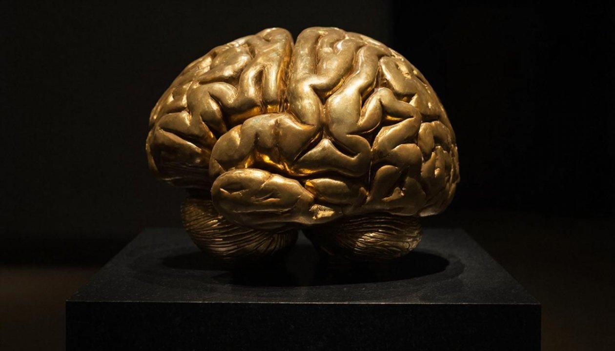 Ваш ум - достояние нации, если щелкнете все 7 вопросов - ТЕСТ ИИ Kandinsky (18+)