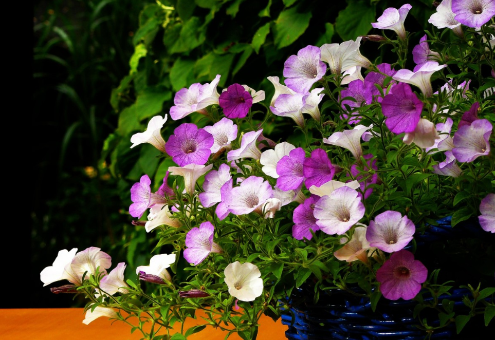 Тематическое фото pxhere.com