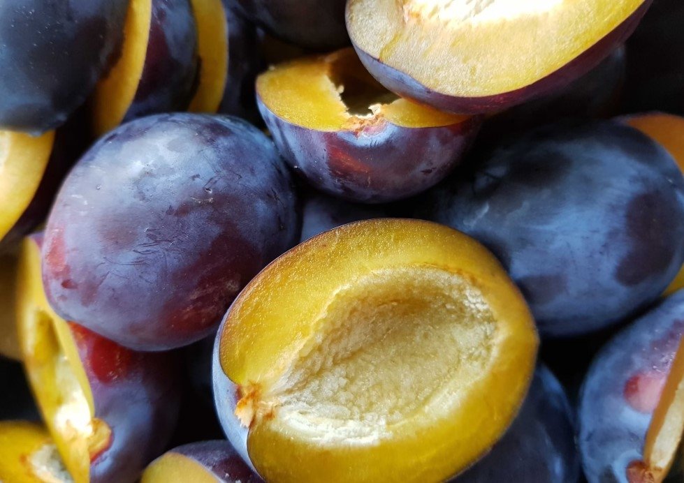 Посадил и ахнул: этот гибрид сливы с косточкой от персика стал главной гордостью коллекции unsplash.com