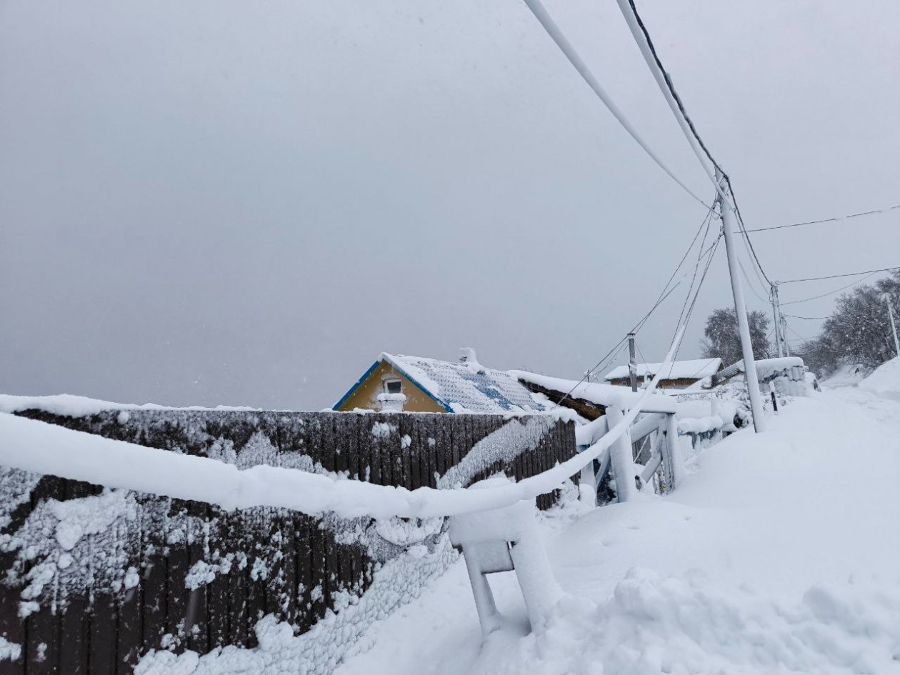 Тематическое фото Елена Поддубная, ИА KamchatkaMedia