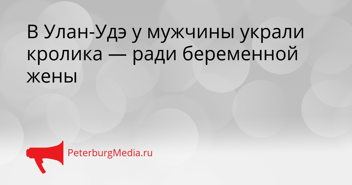 В Улан-Удэ у мужчины украли кролика — ради беременной жены Сгенерировано