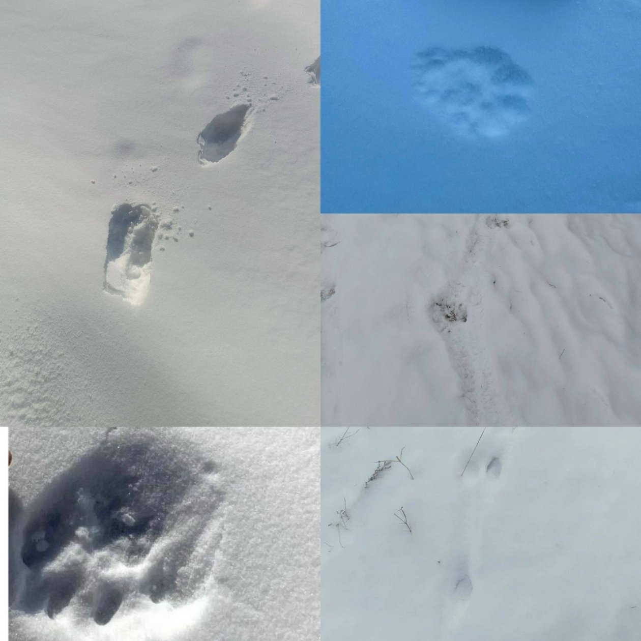 Национальный парк Тункинский