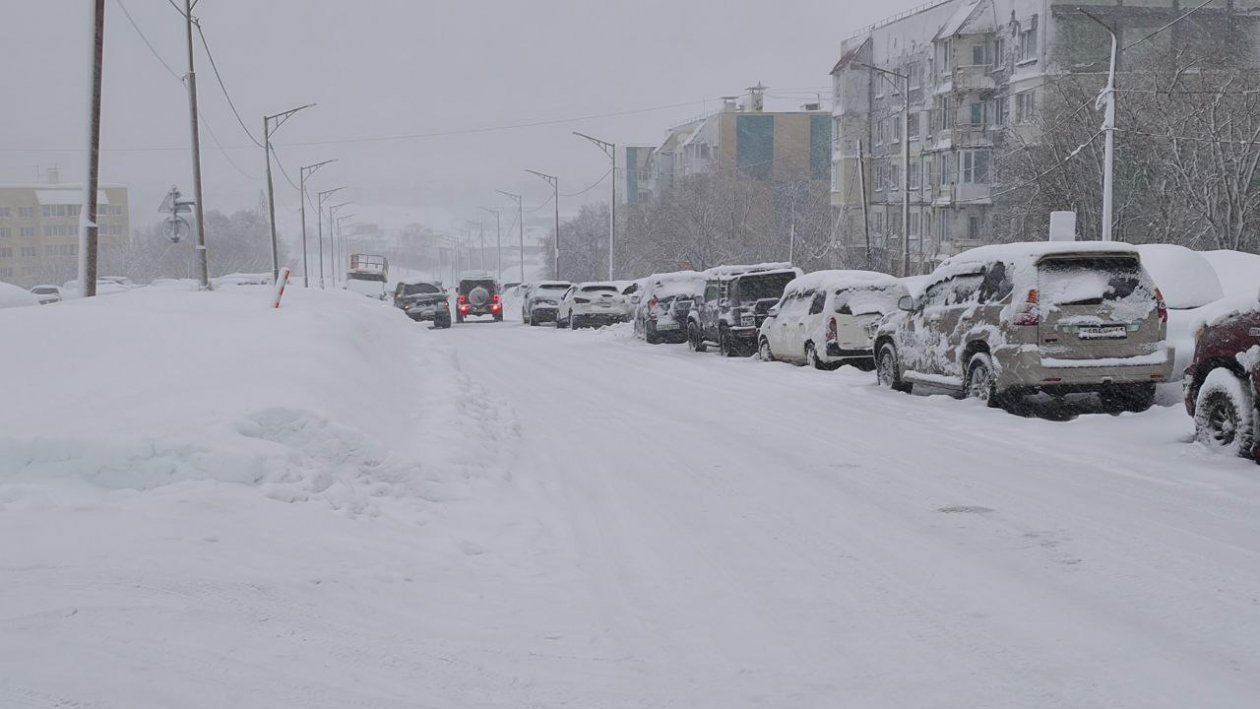 Фото Ирина Васильева, ИА KamchatkaMedia