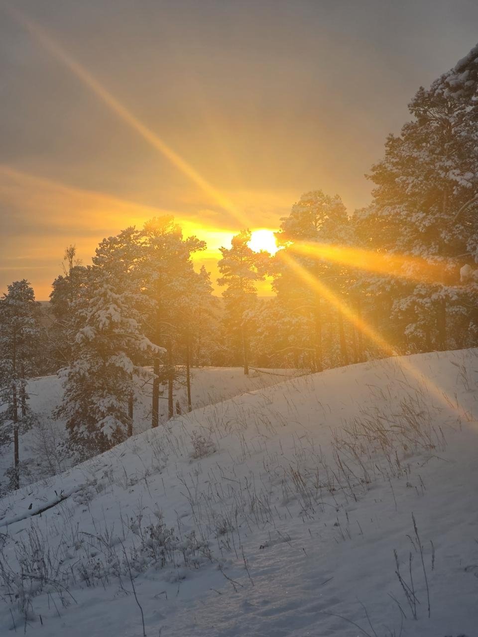 Гороскоп на 28 декабря: Лев избегает ошибок, Стрелец-демонстративных жестов ИА YakutiaMedia