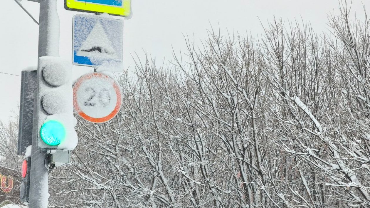 Фото Ирина Васильева, ИА KamchatkaMedia