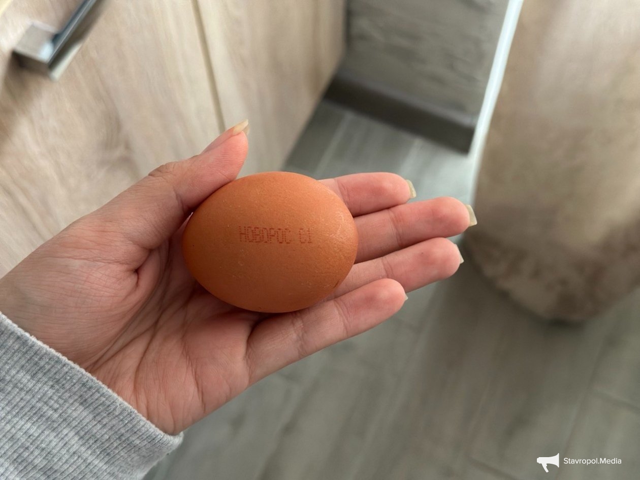 ИА Stavropol.Media