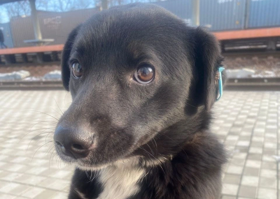 Хати из Приморья ТГ (18+) АО &quotЭкспресс Приморья&quot