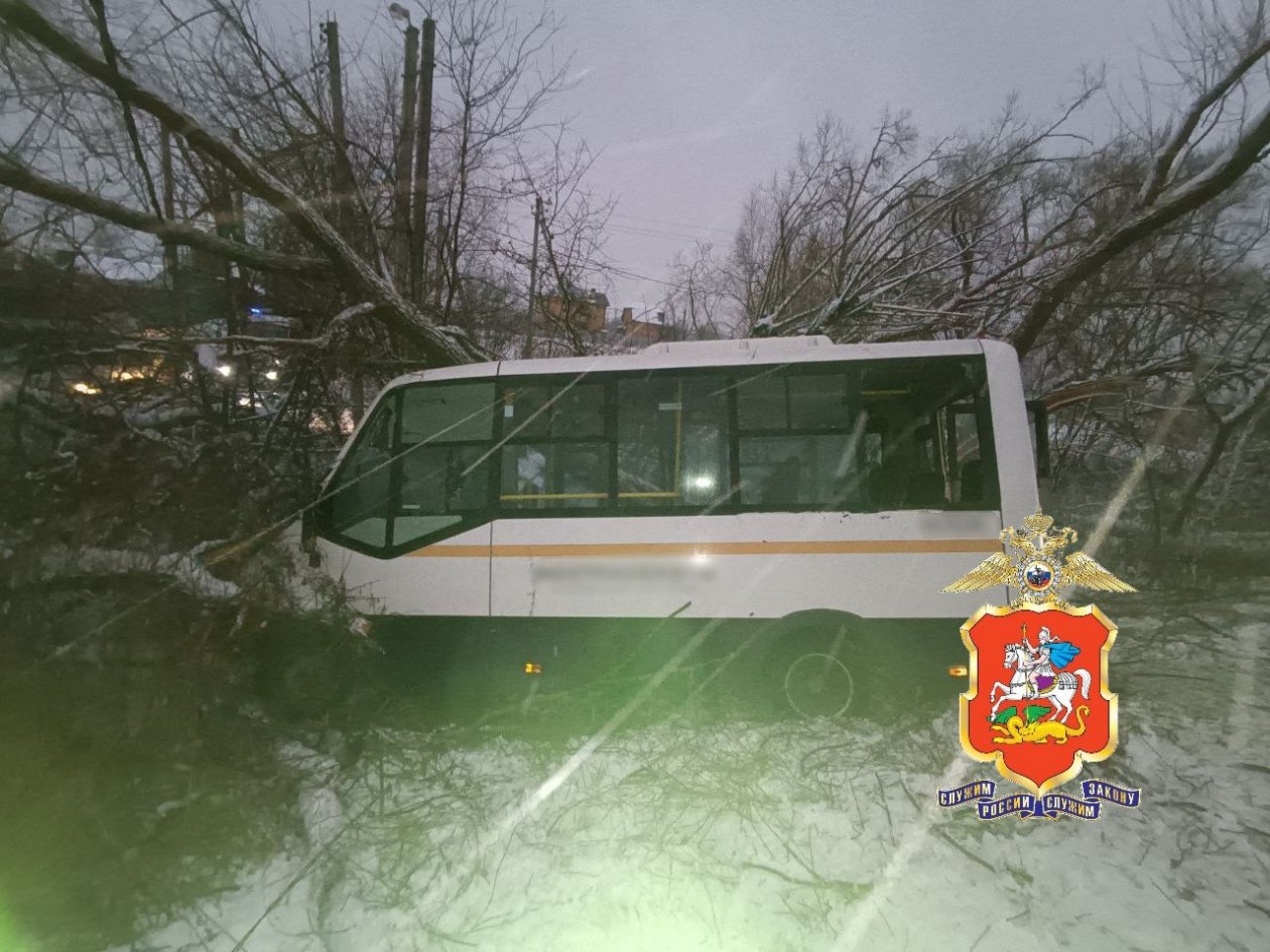 Тематическое фото Telegram / Подмосковная полиция