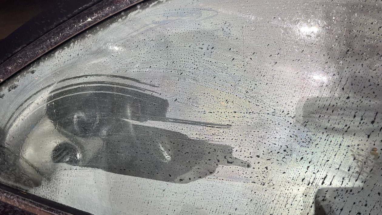 Лобовое не будет потеть в снег: как убрать конденсат за 30 секунд ИА SevastopolMedia