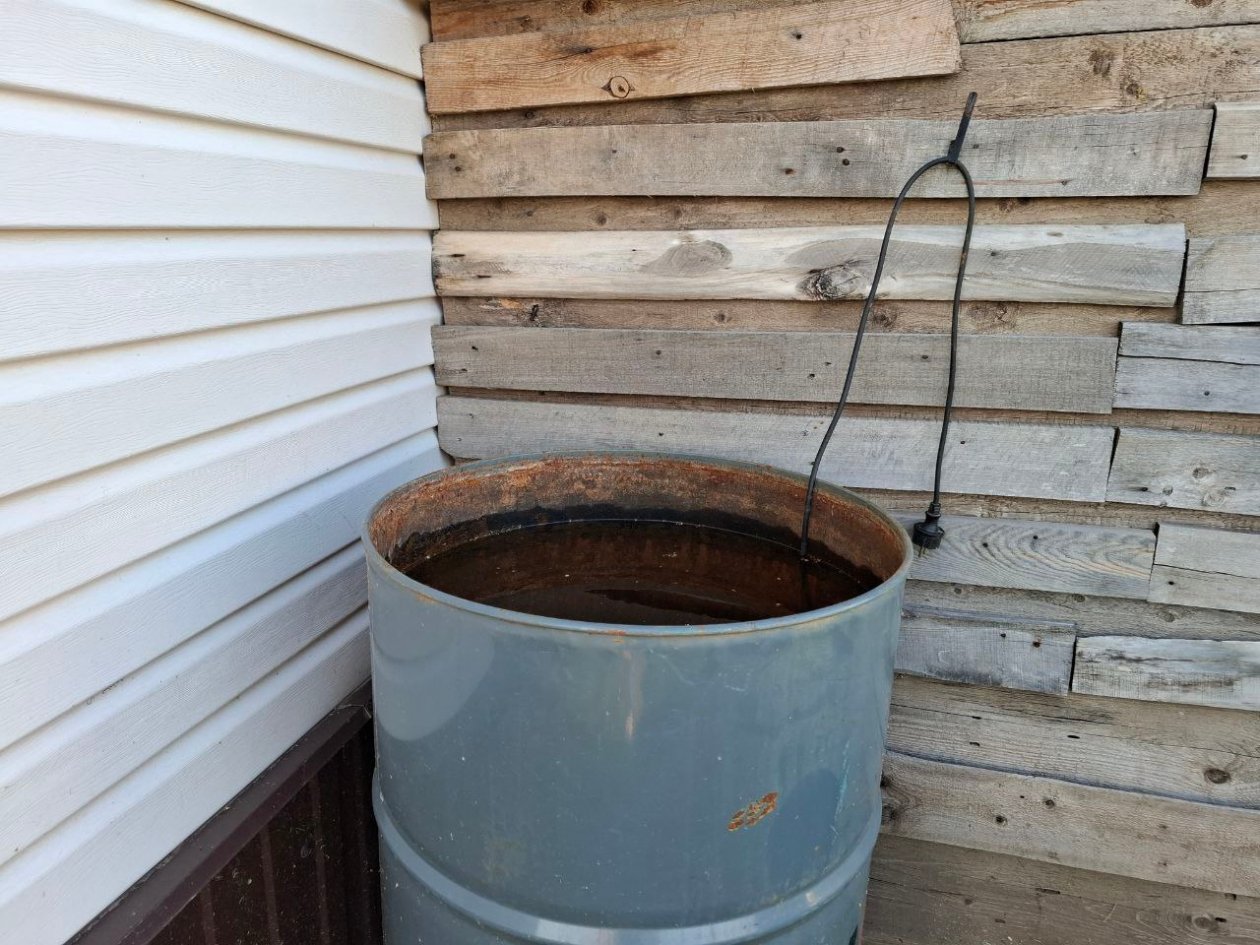 Фото автора автора