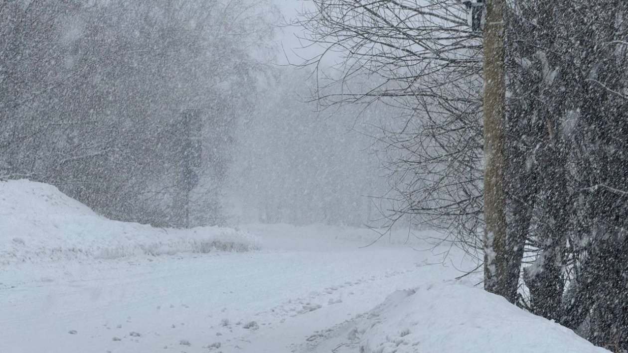 Поселок Лесной Правительство Камчатского края