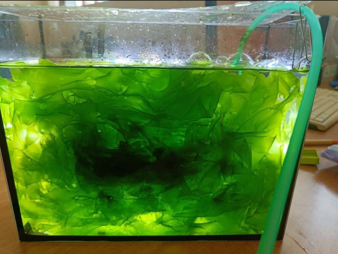 Росрыболовство