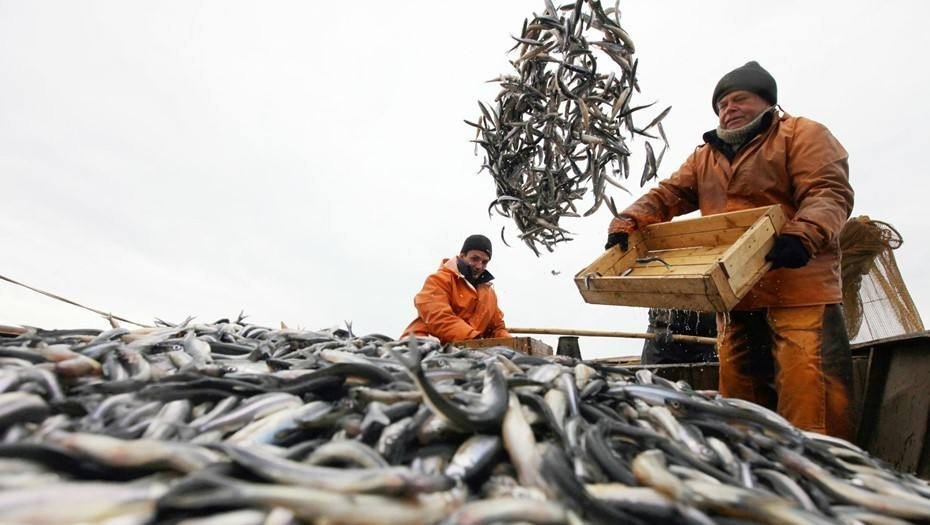 Росрыболовство