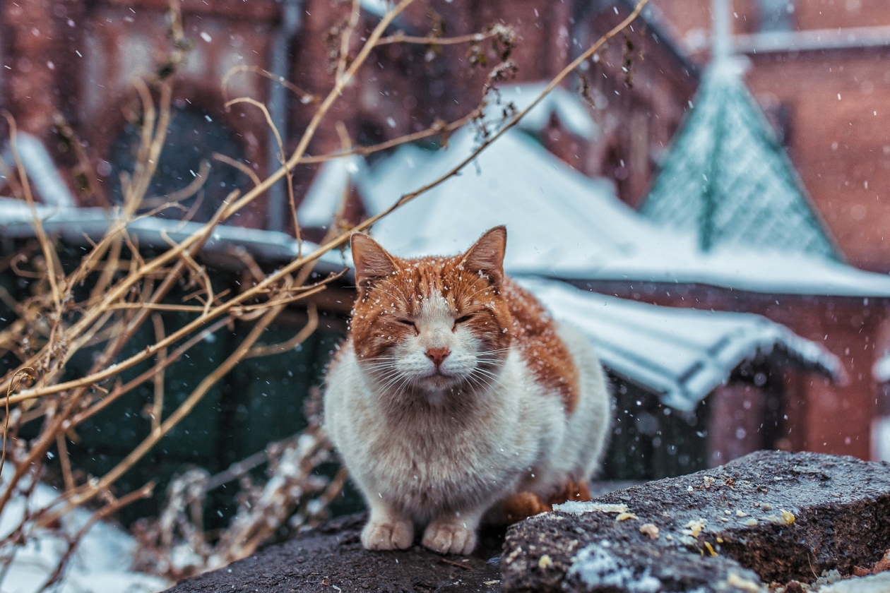 Тематическое фото Мария Смитюк, ИА PrimaMedia