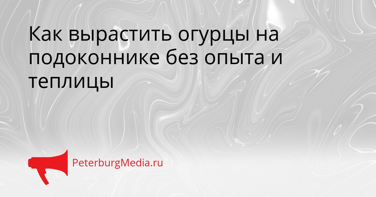 Как вырастить огурцы на подоконнике без опыта и теплицы Сгенерировано