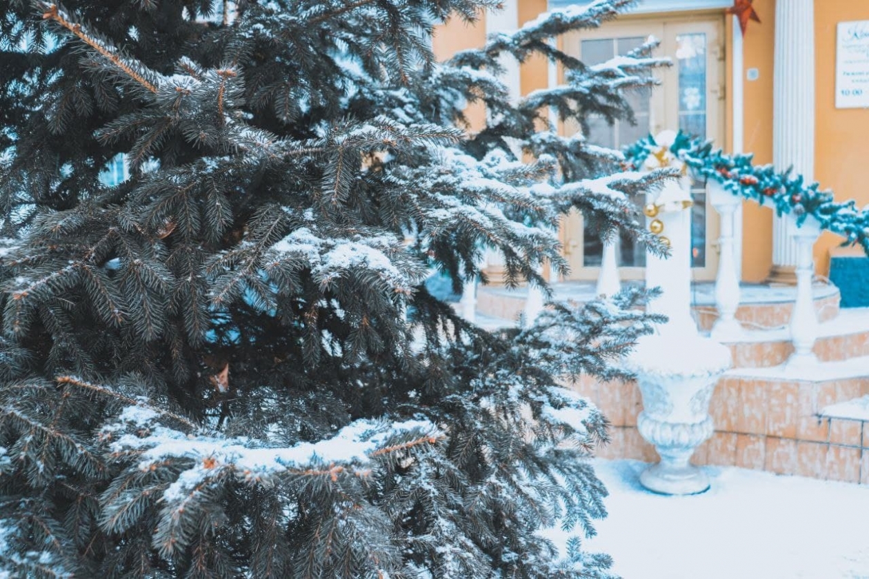 Ясная погода ожидается на Новый год в Иркутске ИА ChitaMedia Анастасия Москалёва