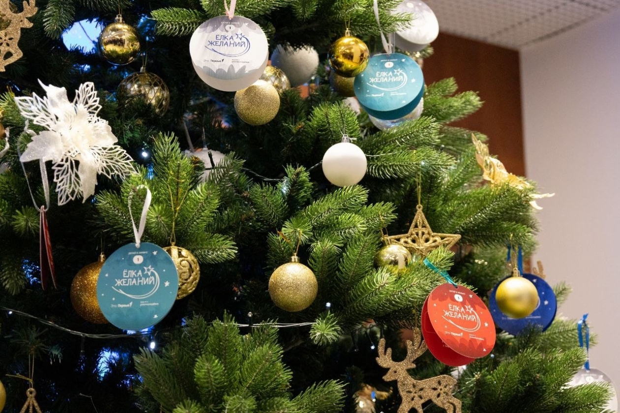 Жители ЕАО принимают участие во Всероссийской акции &quotЁлка желаний&quot правительство ЕАО