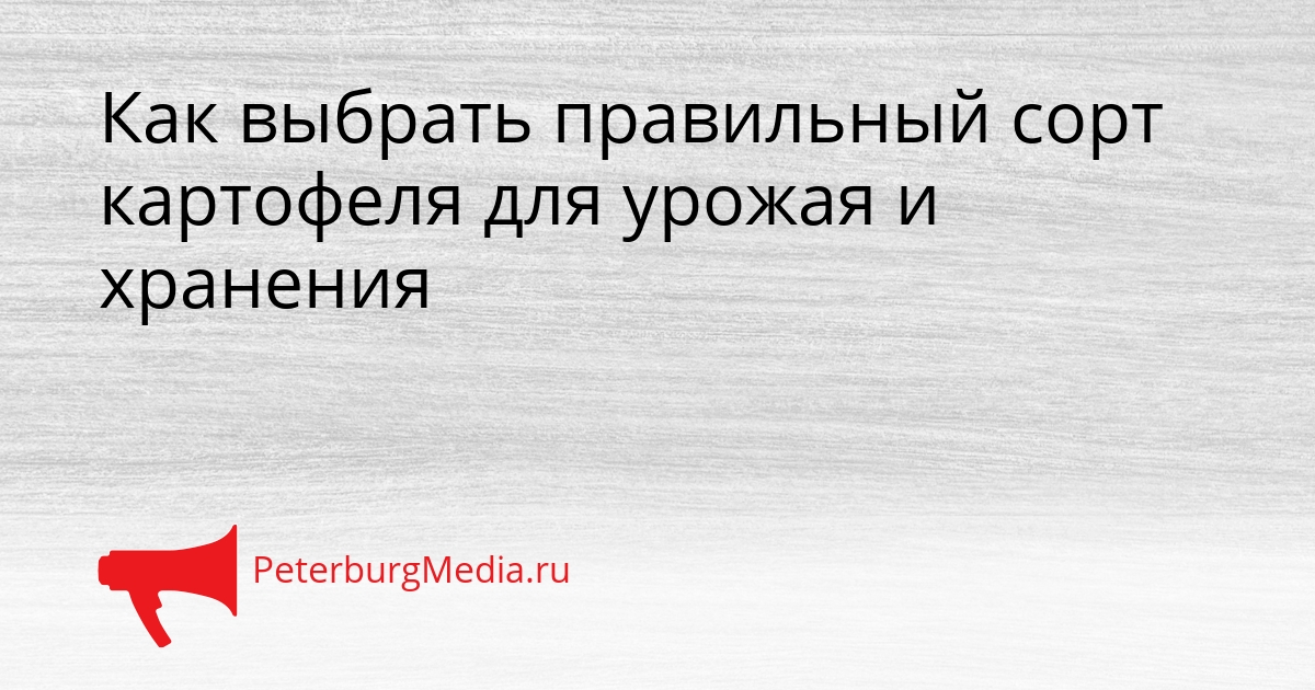 Как выбрать правильный сорт картофеля для урожая и хранения Сгенерировано