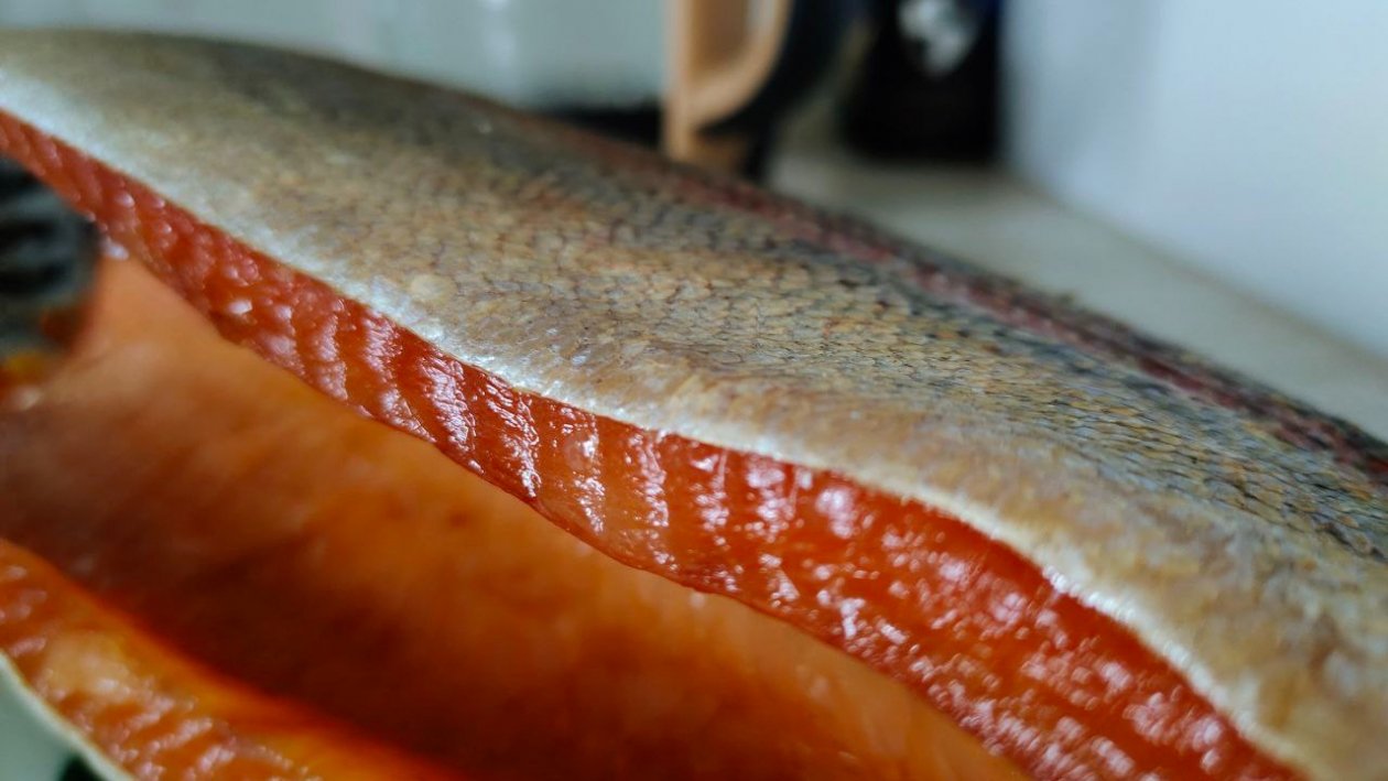  ИА SevastopolMedia