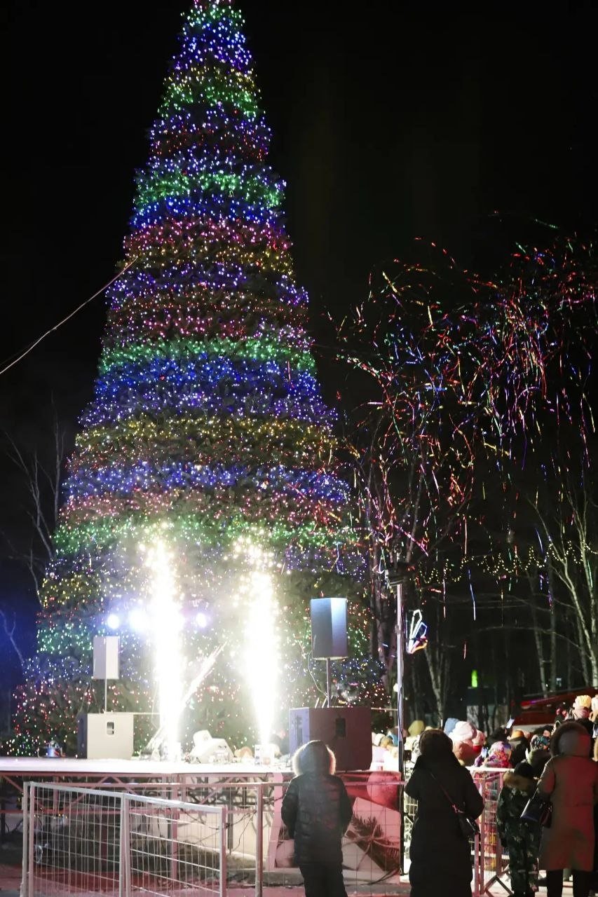 представлено администрацией Ногликского муниципального округа