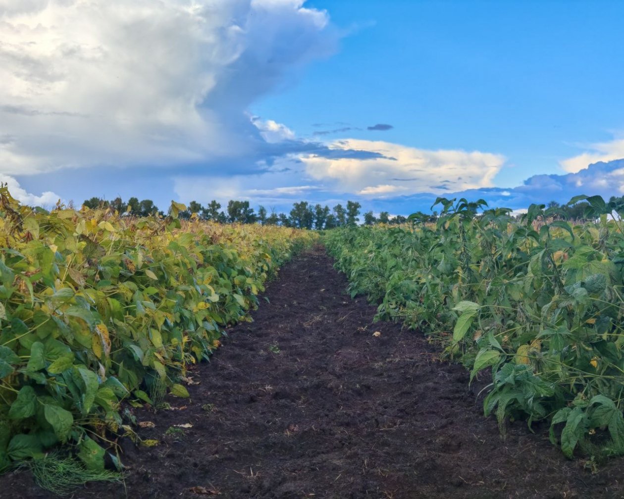 Юлия Ожегова, ИА PriamurMedia