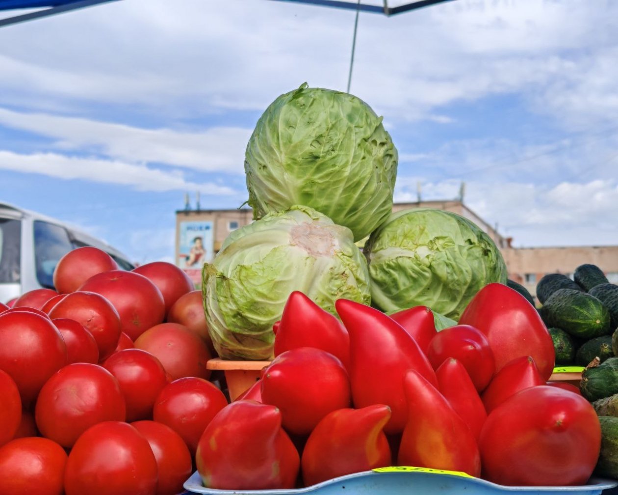 Юлия Ожегова, ИА PriamurMedia