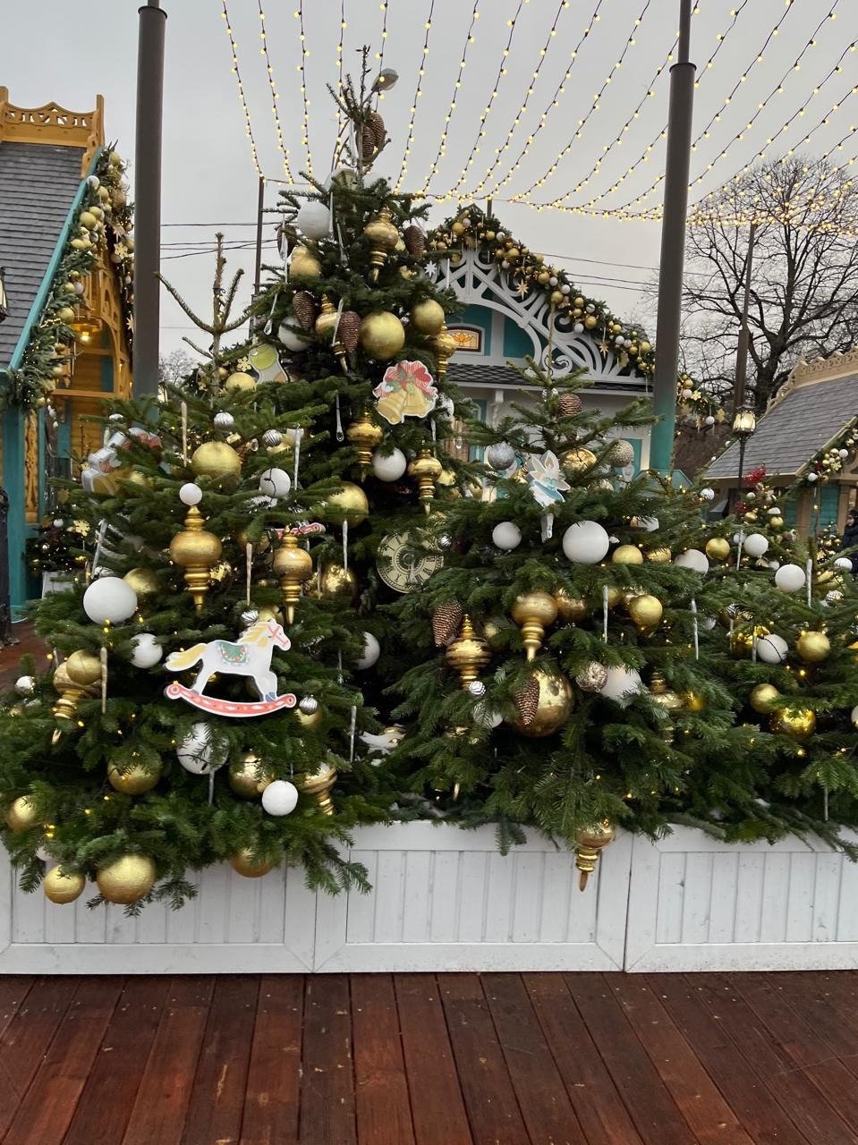 Алена Полежаева