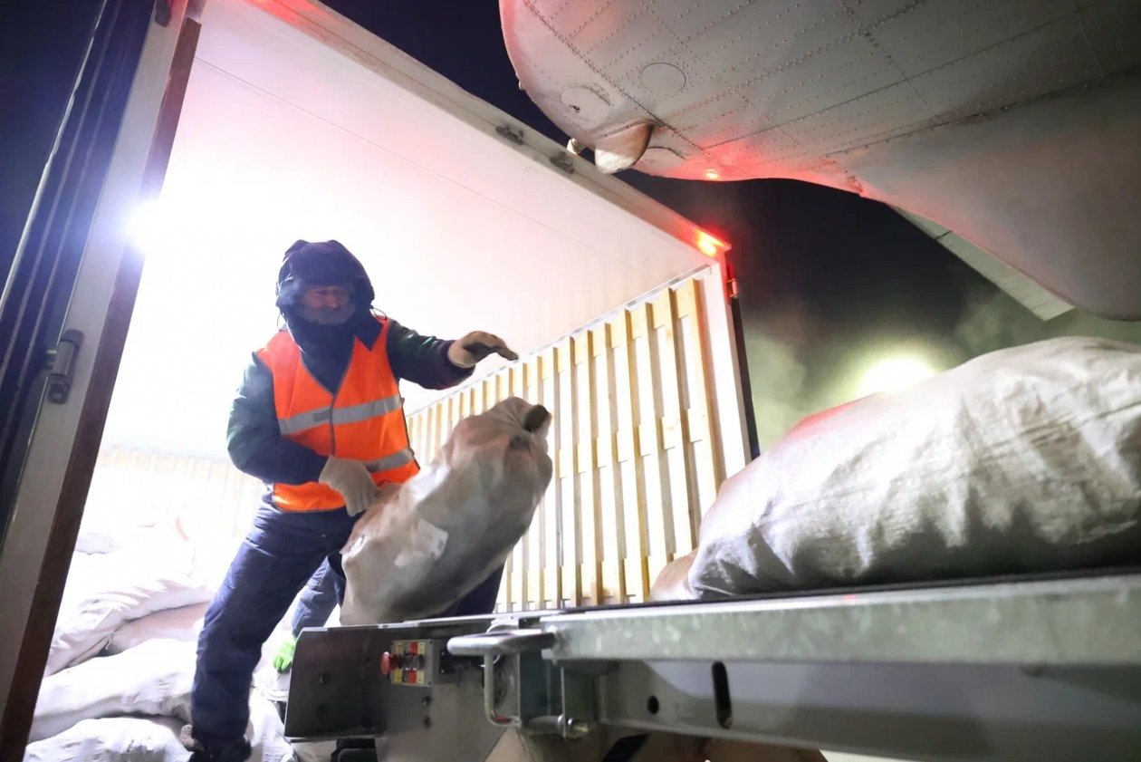 Андрей Сорокин