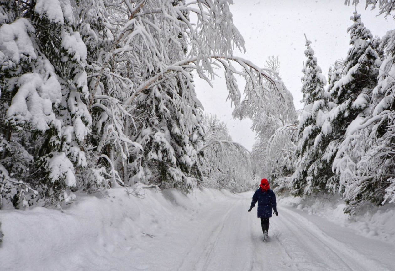 Тематическое фото pxhere.com