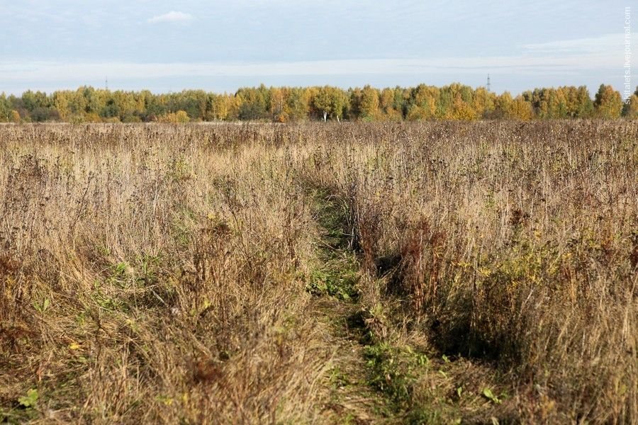 Тематическое фото Россельхознадзор