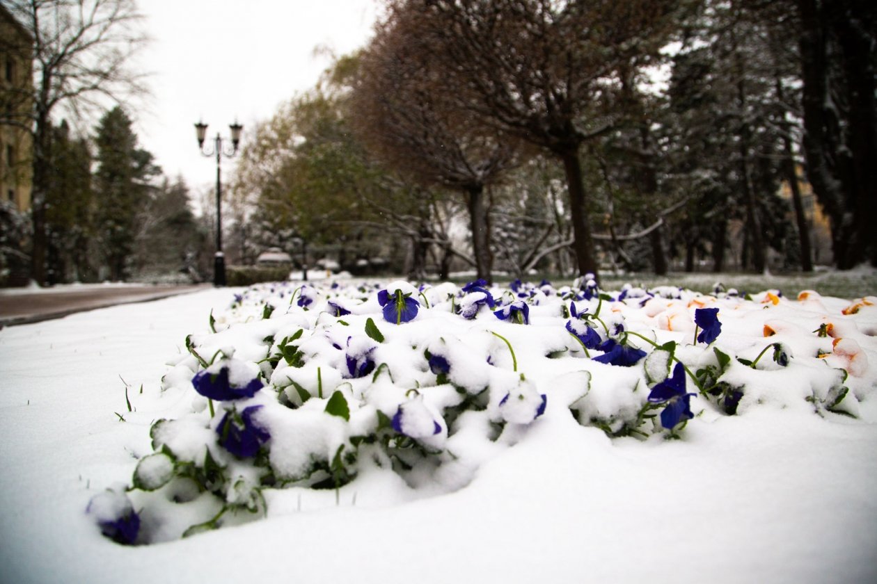 Перед Новым годом в некоторых регионах ухудшится погода Артём Хорошилов  , ИА Stavropol.Media