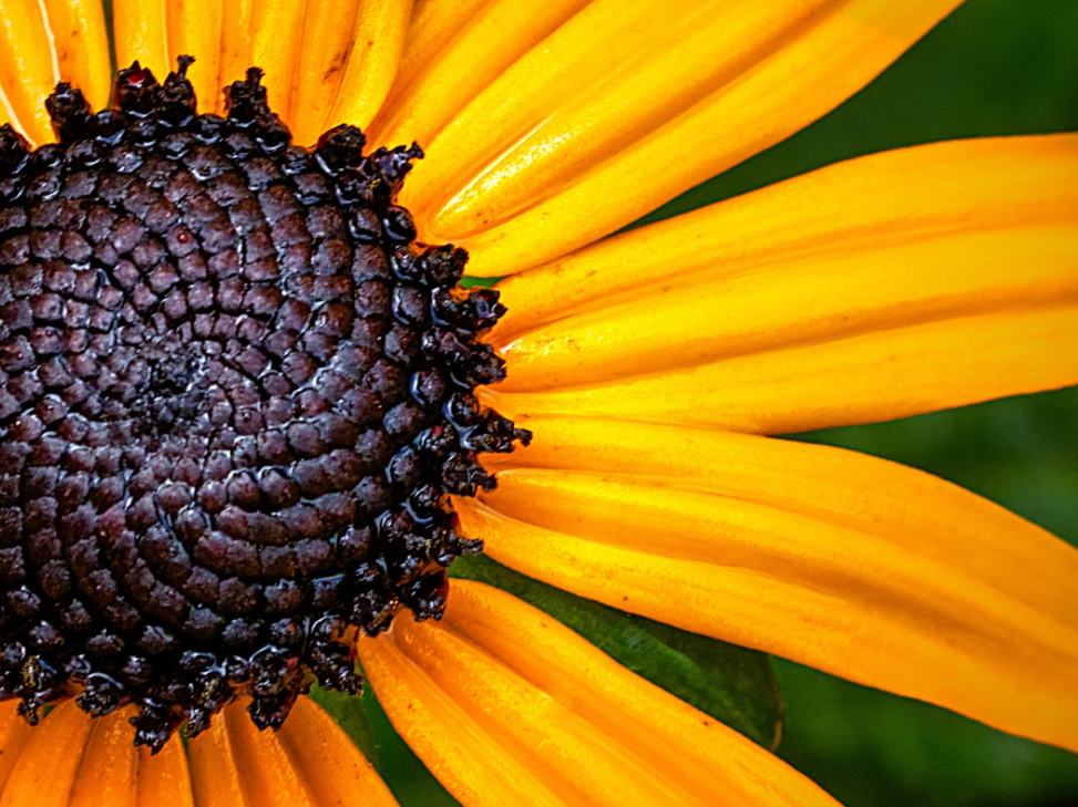 Тематическое фото unsplash.com