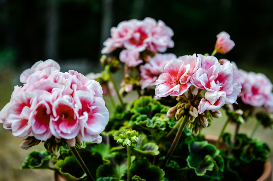 Тематическое фото unsplash.com