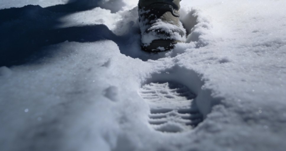 Тематическое фото сгенерировано нейросетью Perplexity AI (18+)