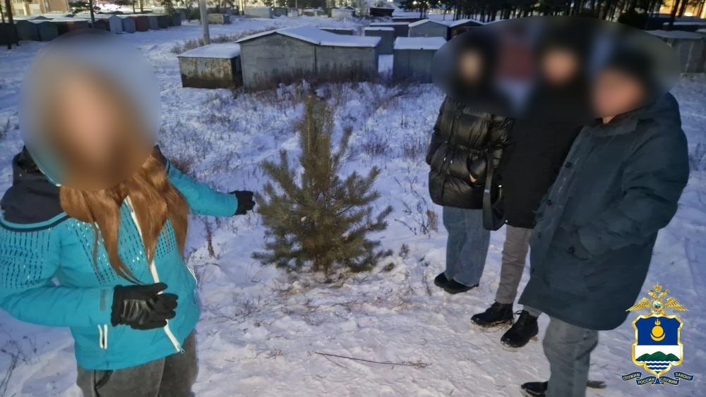 Задержаны закладчики наркотиков в Бурятии МВД по Бурятии