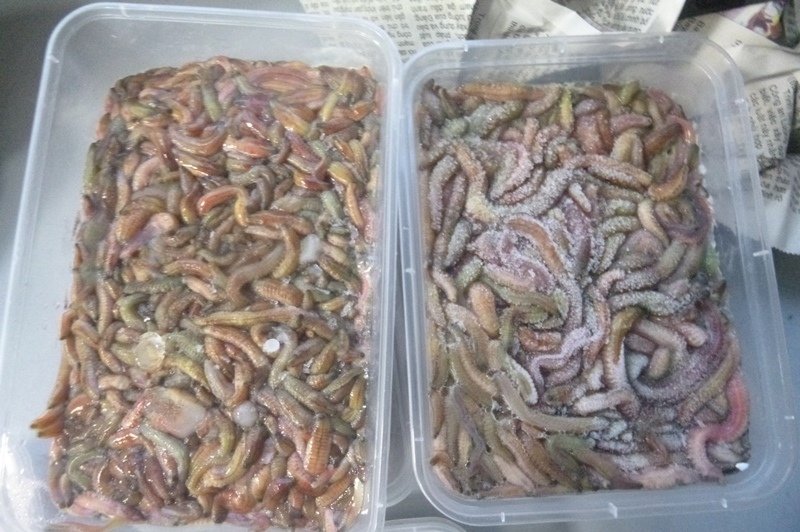 3 кг замороженных червей обнаружили Иркутские таможенники в багаже пассажира из Вьетнама Пресс-служба Иркутской таможни