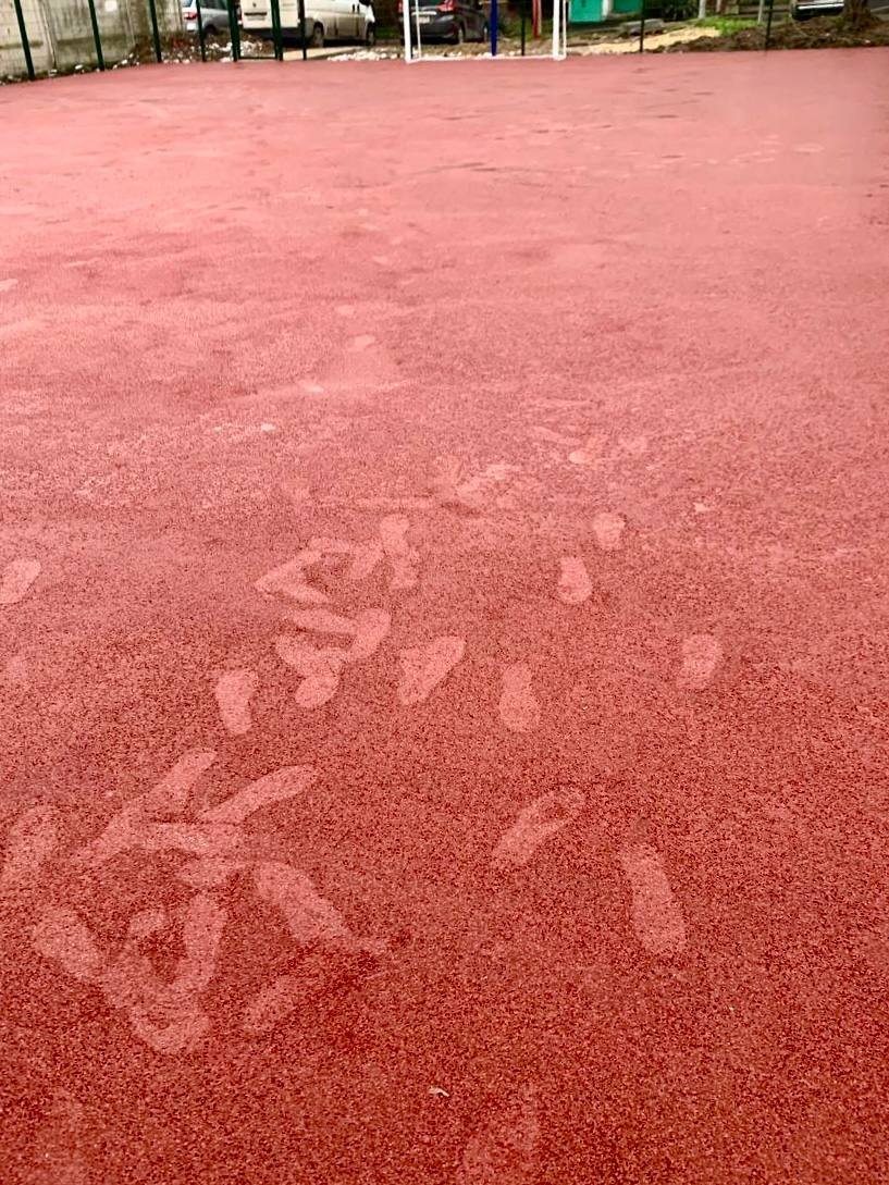 Соцсети О. Каторгина