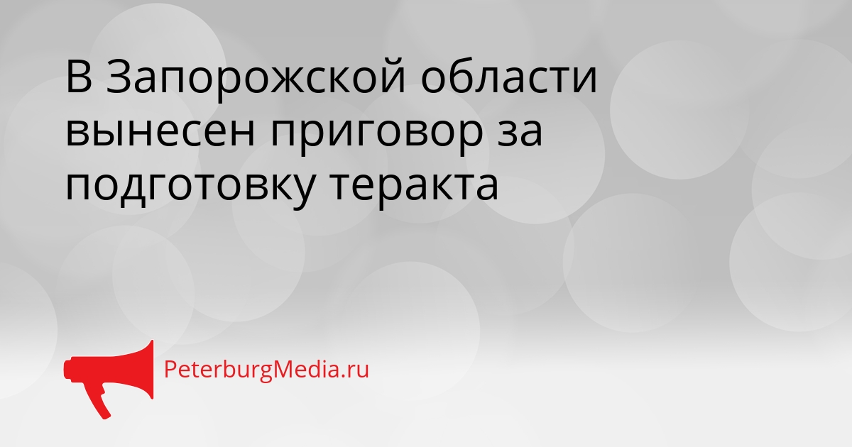В Запорожской области вынесен приговор за подготовку теракта Сгенерировано
