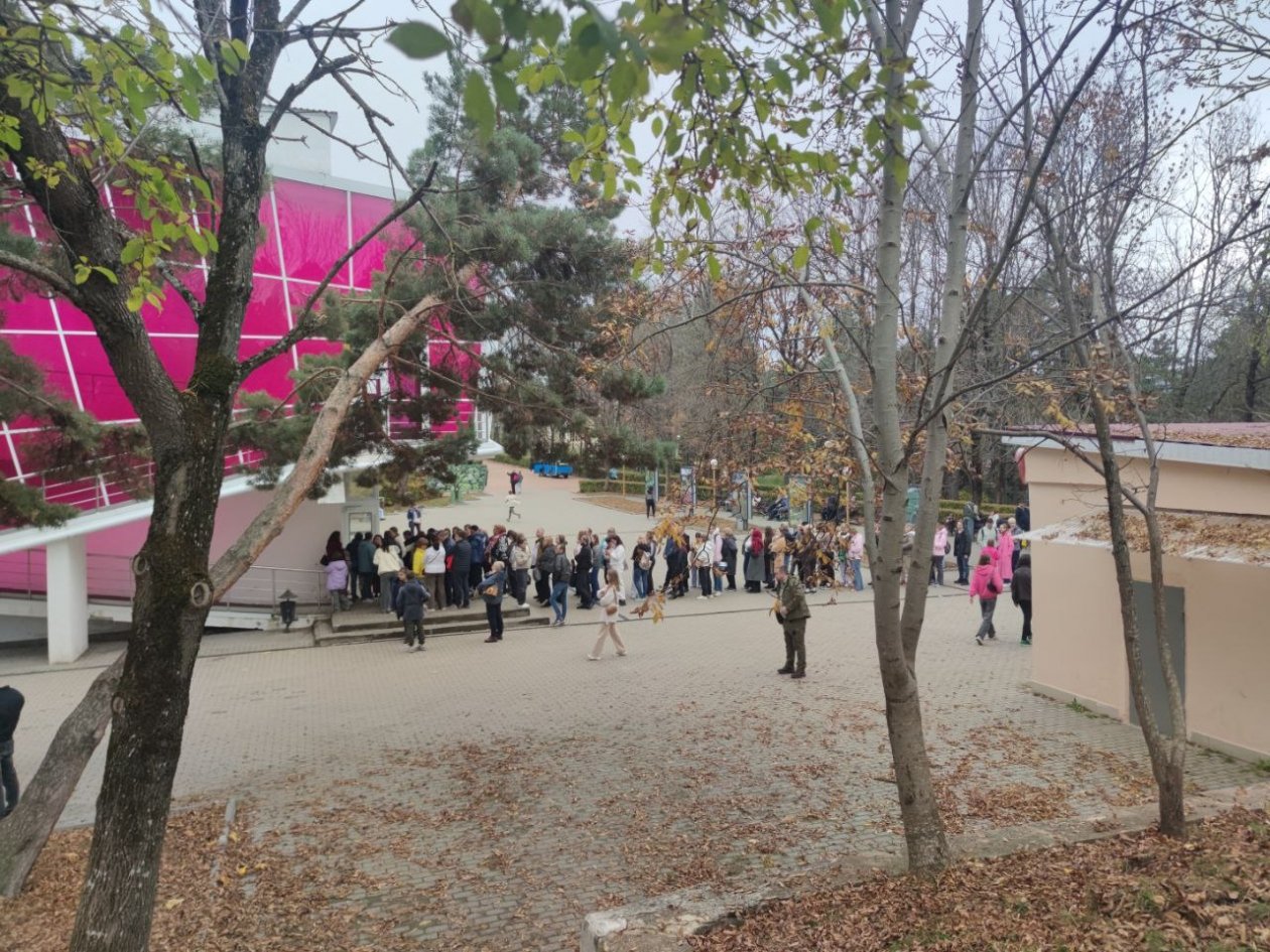 ИА Stavropol.Media