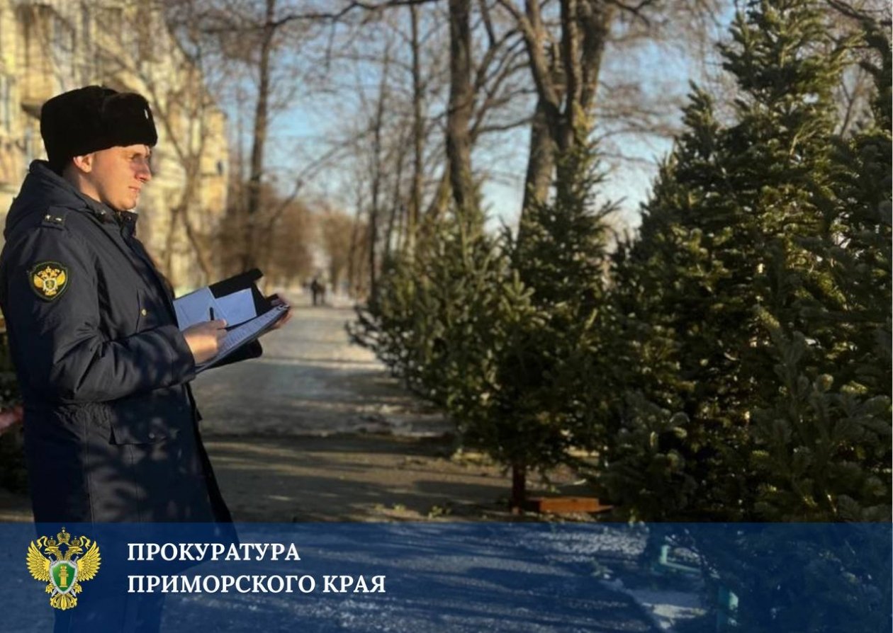 прокуратура Приморского края