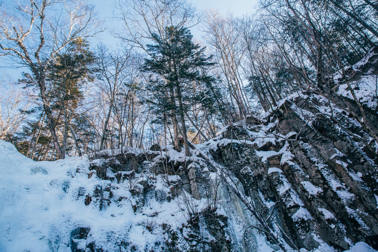 Мария Смитюк, ИА PrimaMedia