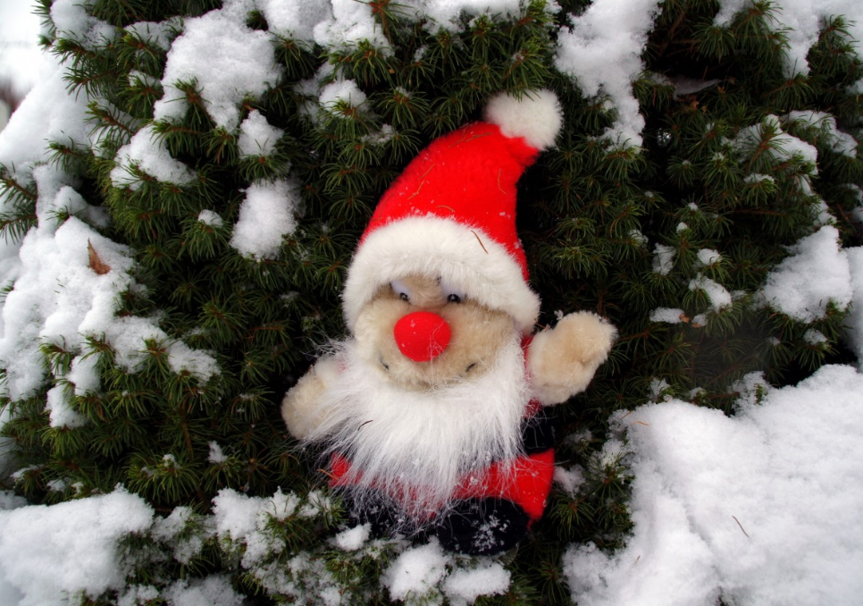 тематическое фото pxhere.com