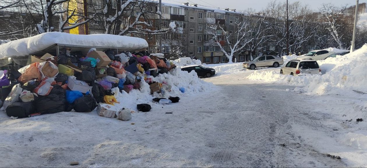 Жители микрорайона