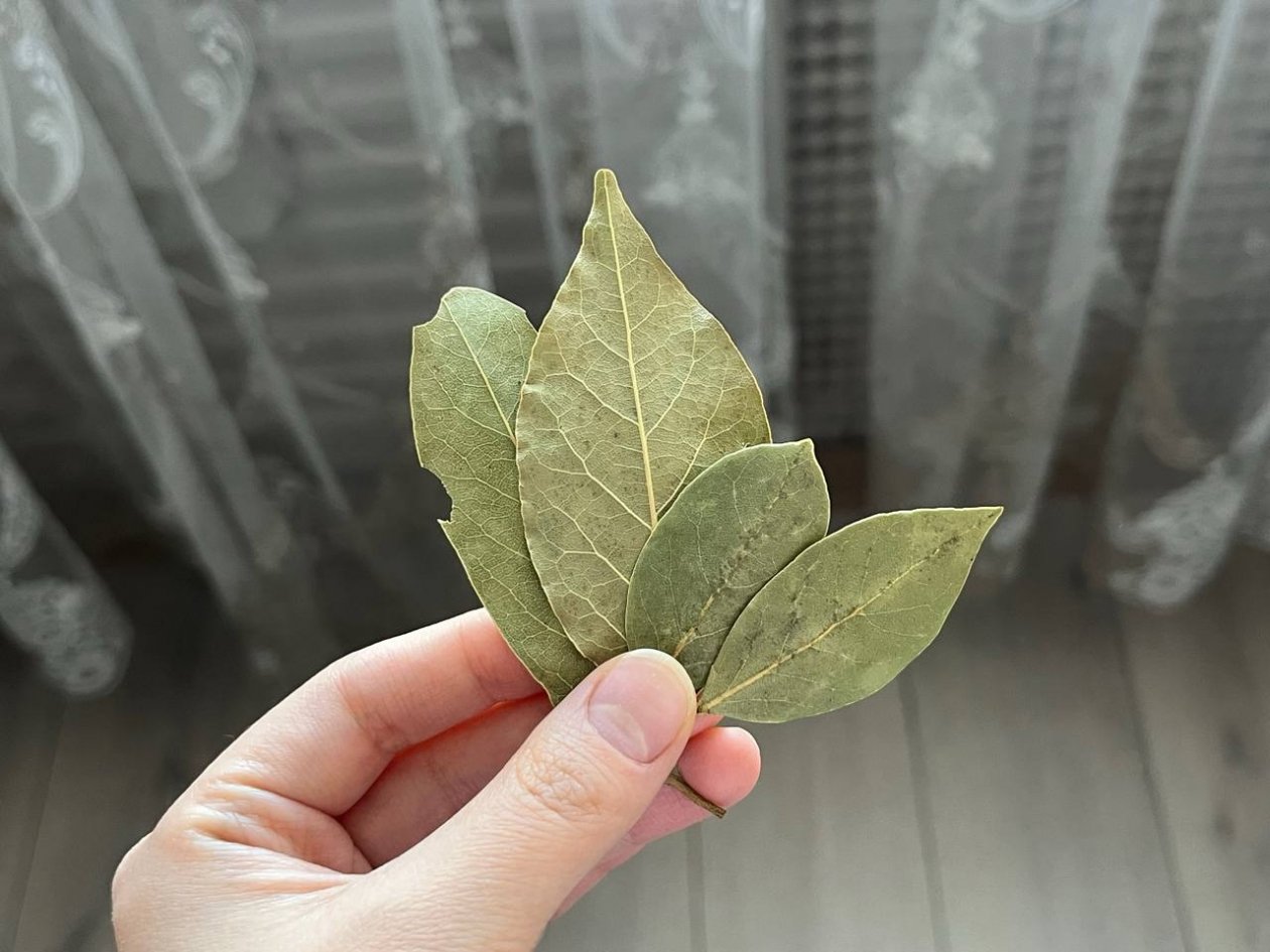 Тематическое фото ИА PrimaMedia